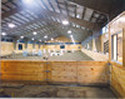 Dana Hall Riding Facility Interior